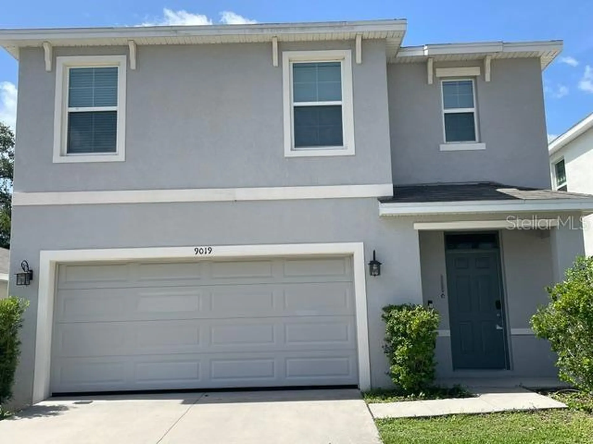 9019 Water Chestnut Drive Tampa FL 33637