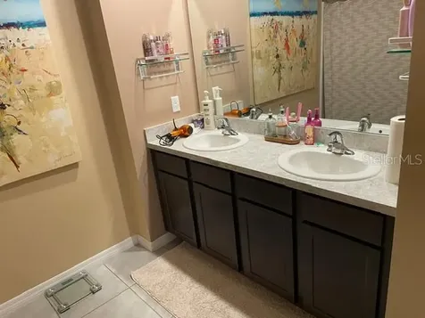 9019 Water Chestnut Drive Tampa FL 33637