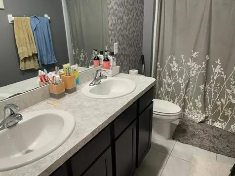9019 Water Chestnut Drive Tampa FL 33637