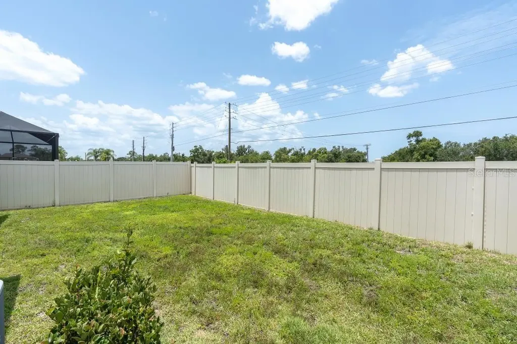 17010 Yellow Pine Street Wimauma FL 33598