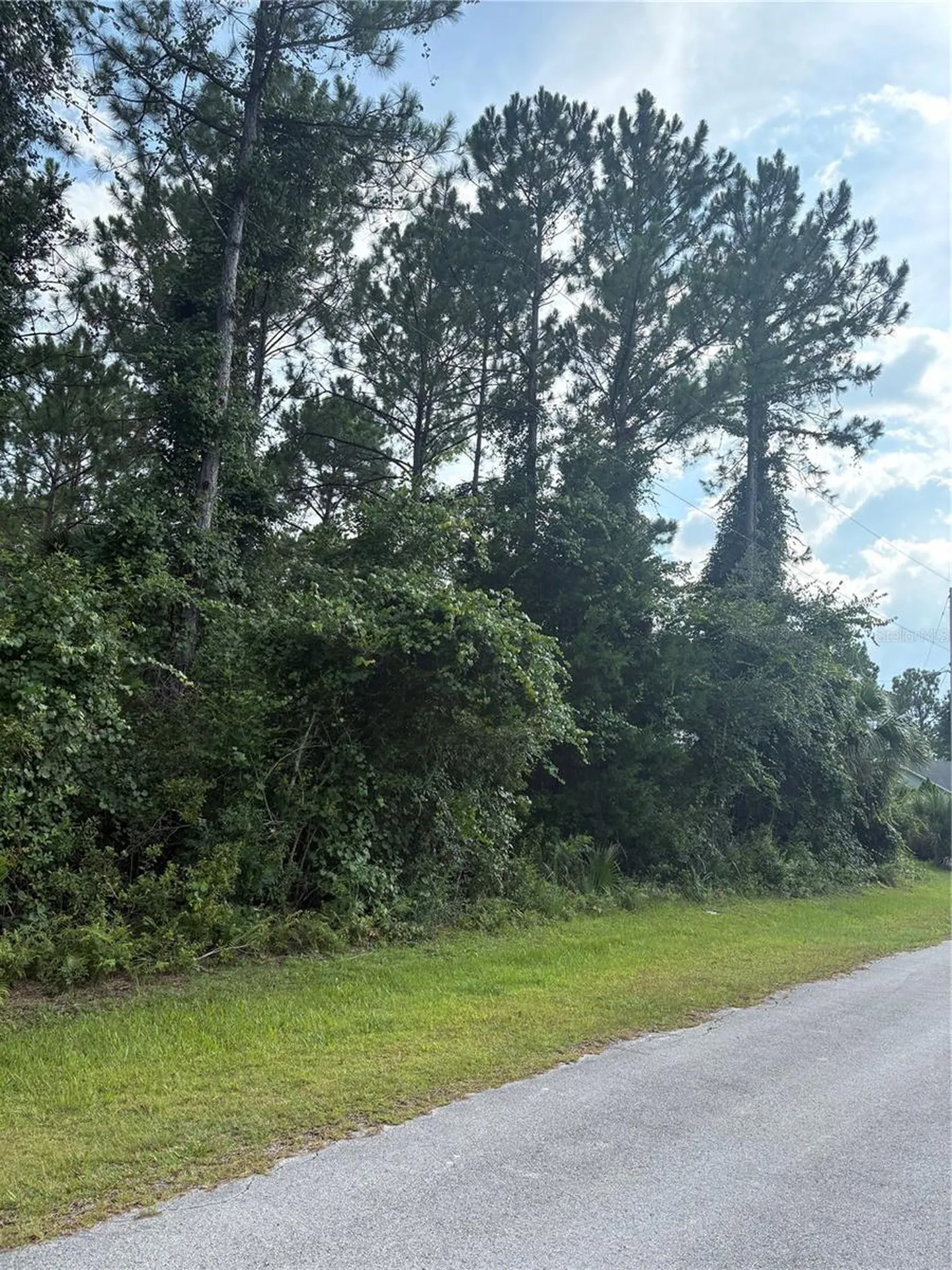 17 Uhlerwood Court Palm Coast FL 32164
