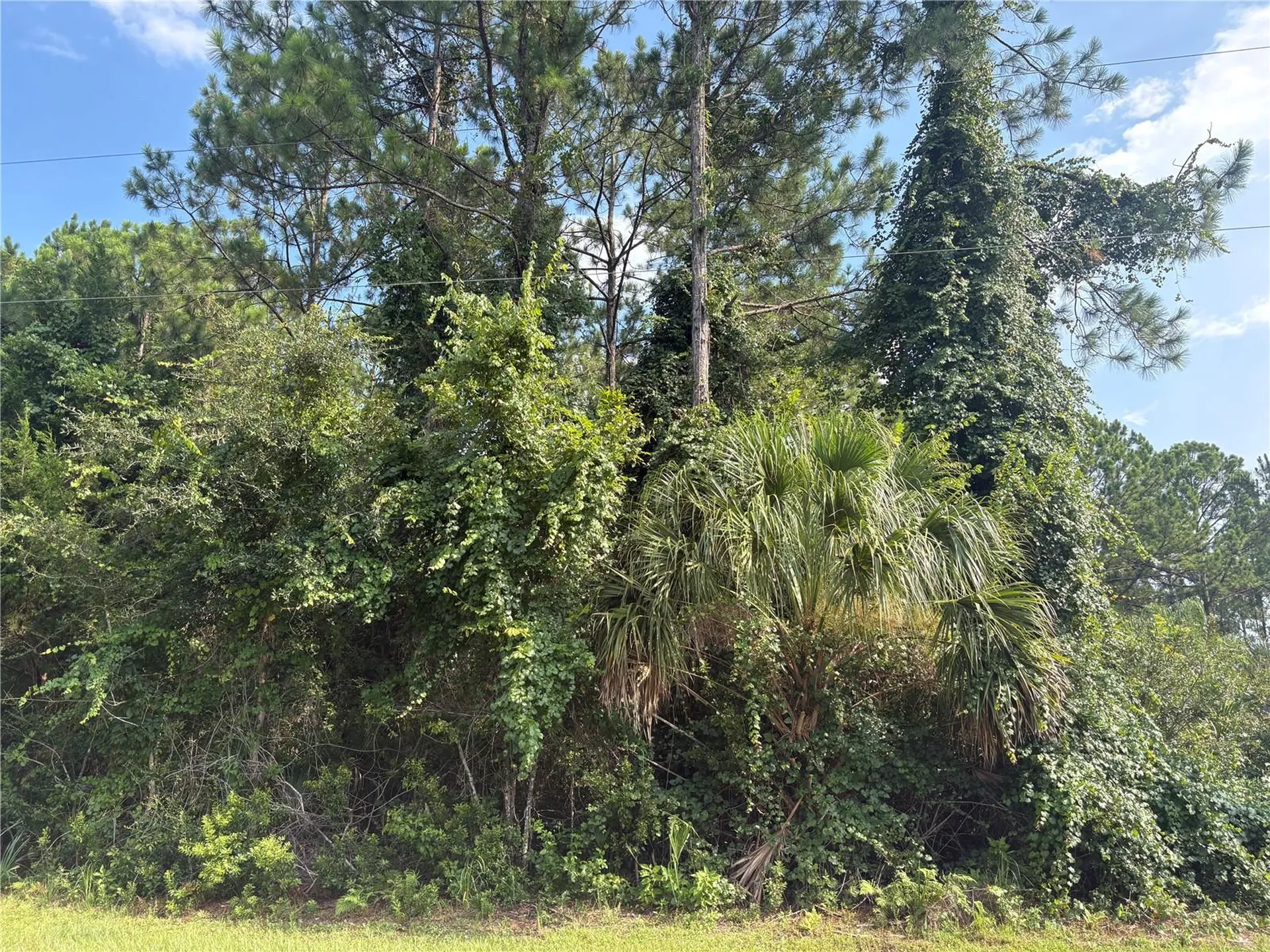 17 Uhlerwood Court Palm Coast FL 32164