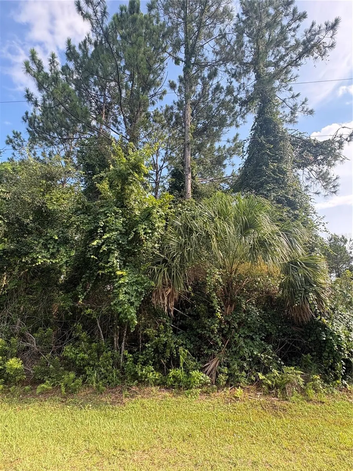 17 Uhlerwood Court Palm Coast FL 32164