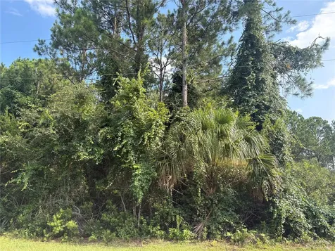 17 Uhlerwood Court Palm Coast FL 32164