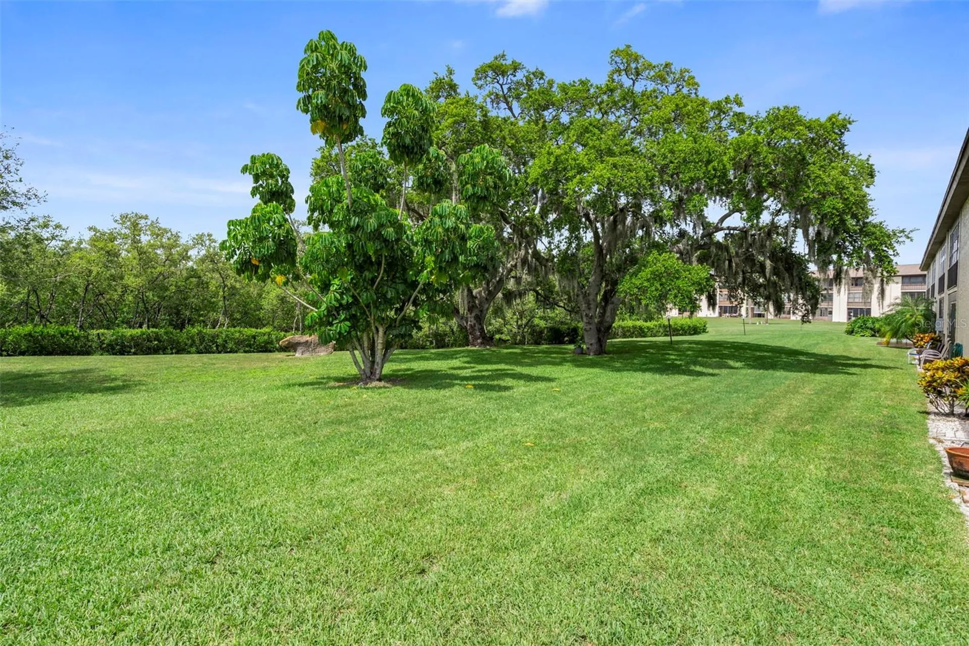4849 Onyx Lane New Port Richey FL 34652