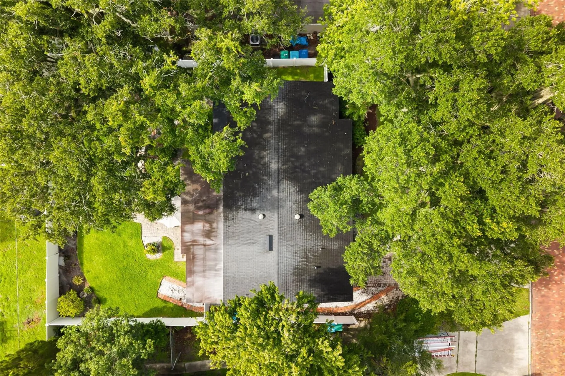 1562 Arbor Park Drive Winter Park FL 32789