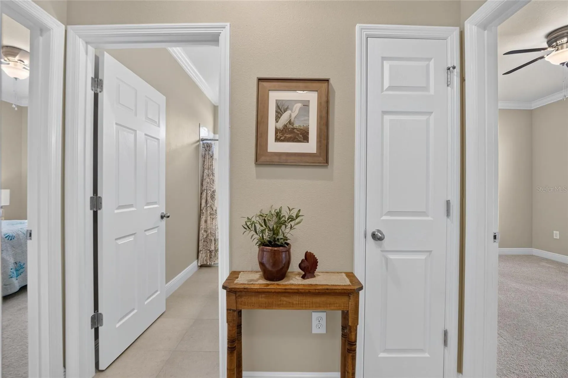 13328 Palmera Vista Drive Riverview FL 33579