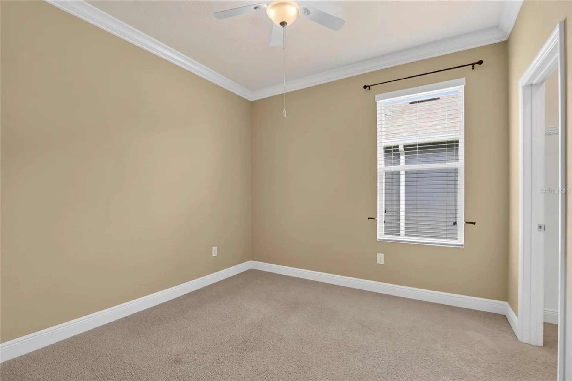 13328 Palmera Vista Drive Riverview FL 33579