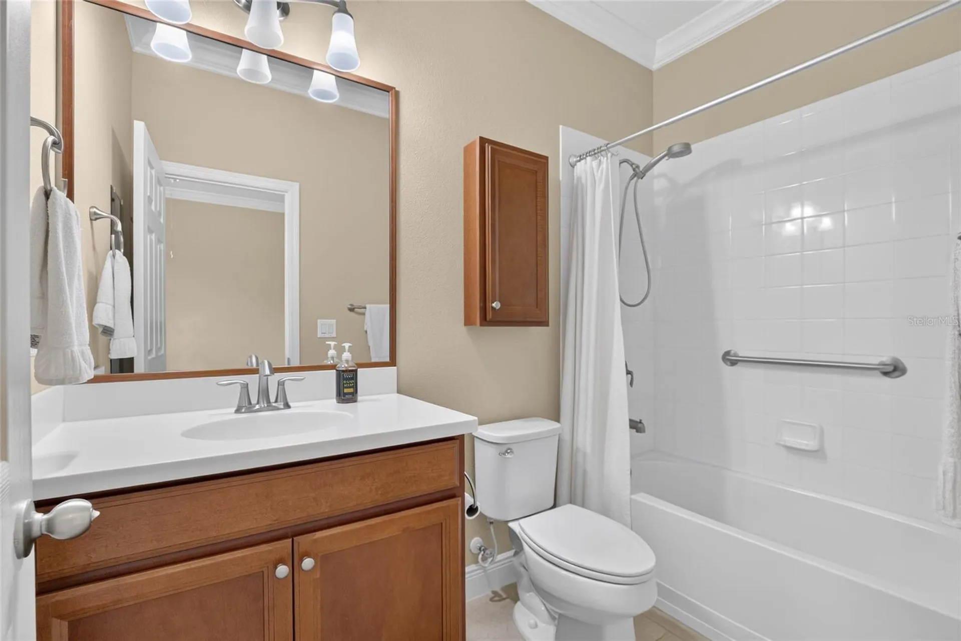 13328 Palmera Vista Drive Riverview FL 33579