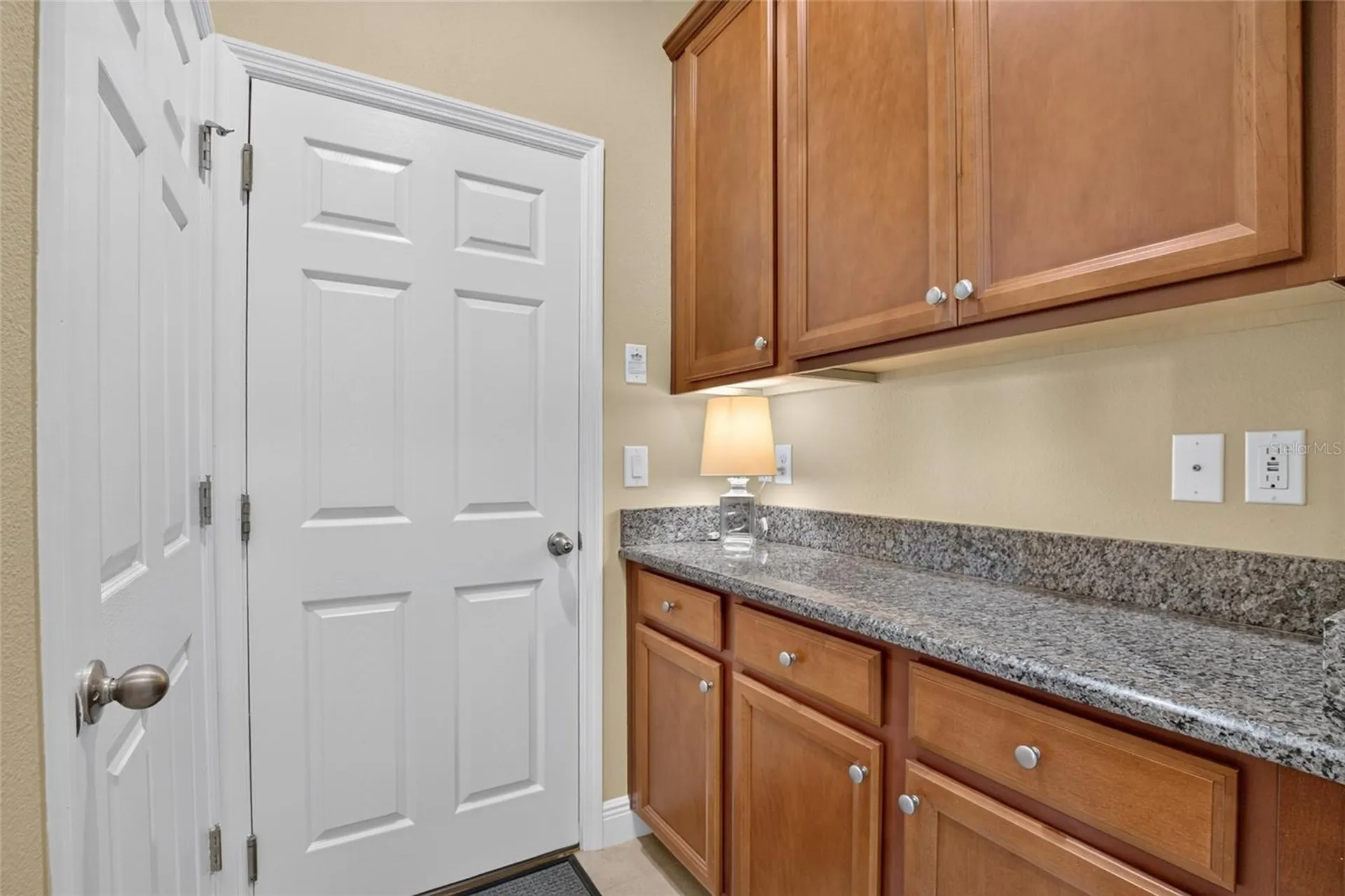 13328 Palmera Vista Drive Riverview FL 33579