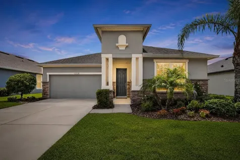 13328 Palmera Vista Drive Riverview FL 33579