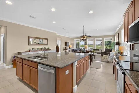 13328 Palmera Vista Drive Riverview FL 33579