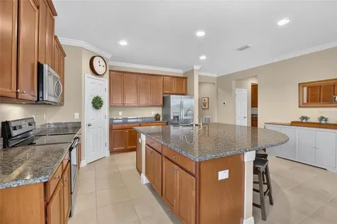 13328 Palmera Vista Drive Riverview FL 33579