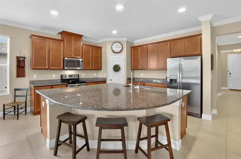 13328 Palmera Vista Drive Riverview FL 33579