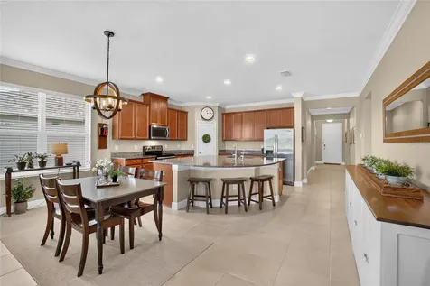 13328 Palmera Vista Drive Riverview FL 33579
