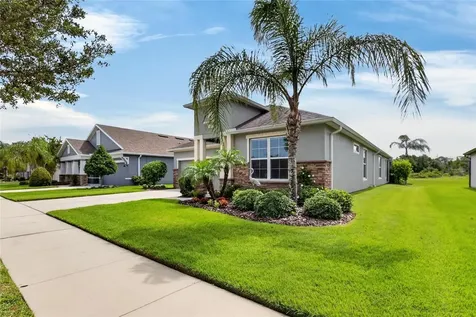 13328 Palmera Vista Drive Riverview FL 33579