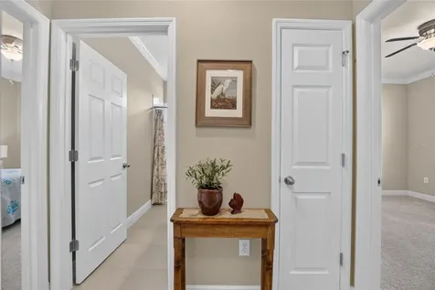 13328 Palmera Vista Drive Riverview FL 33579