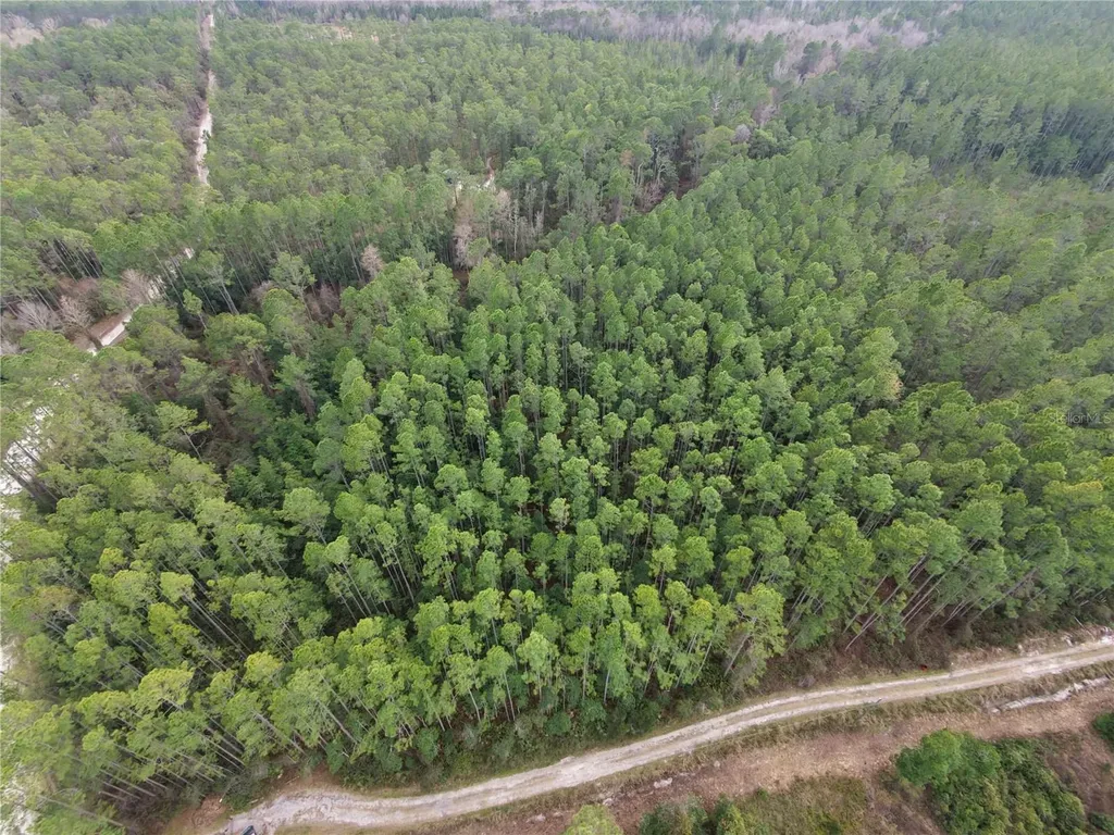 NE NE 130 Ct Road Fort Mc Coy FL 32134