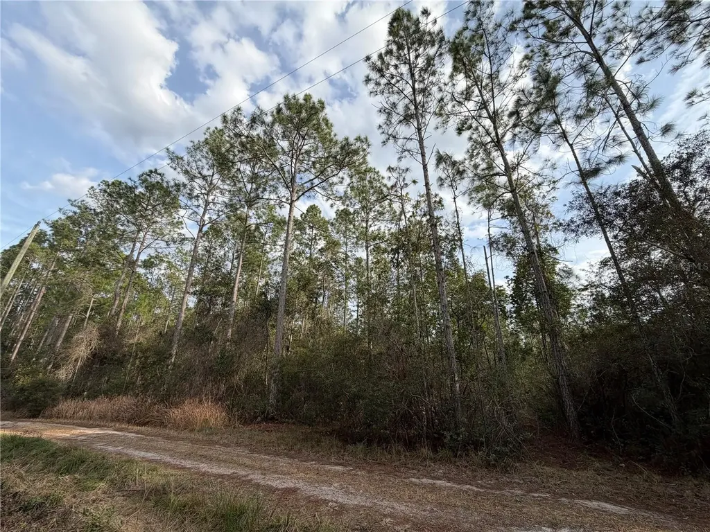 NE NE 130 Ct Road Fort Mc Coy FL 32134
