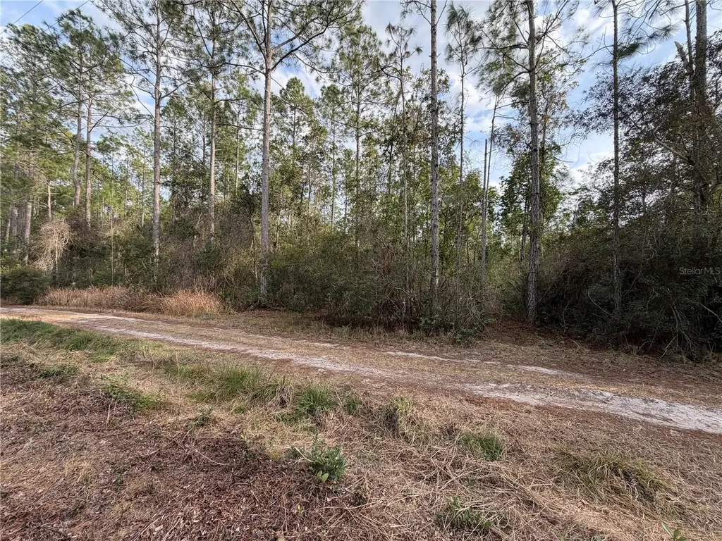 NE NE 130 Ct Road Fort Mc Coy FL 32134