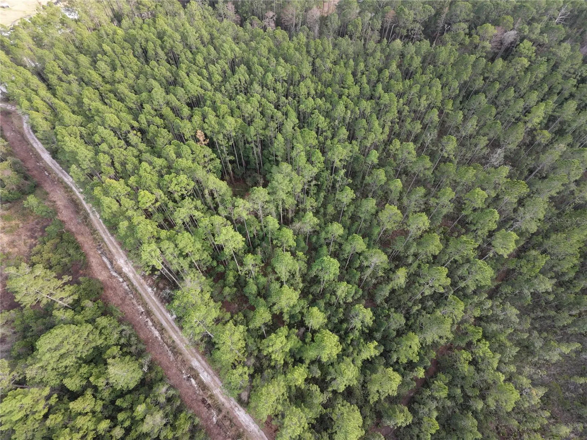 NE NE 130 Ct Road Fort Mc Coy FL 32134