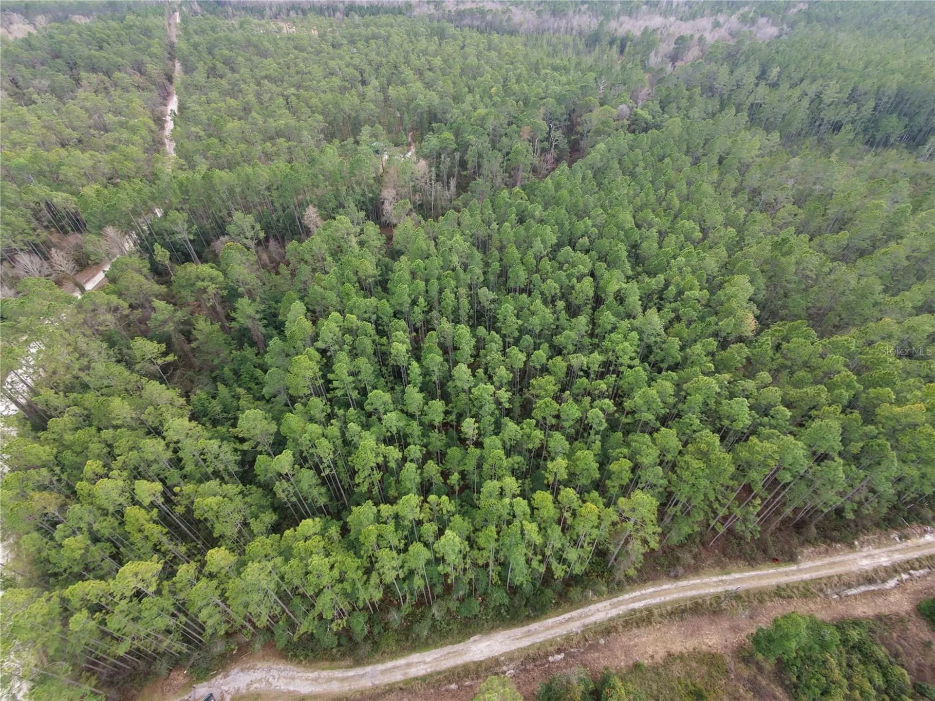 NE NE 130 Ct Road Fort Mc Coy FL 32134