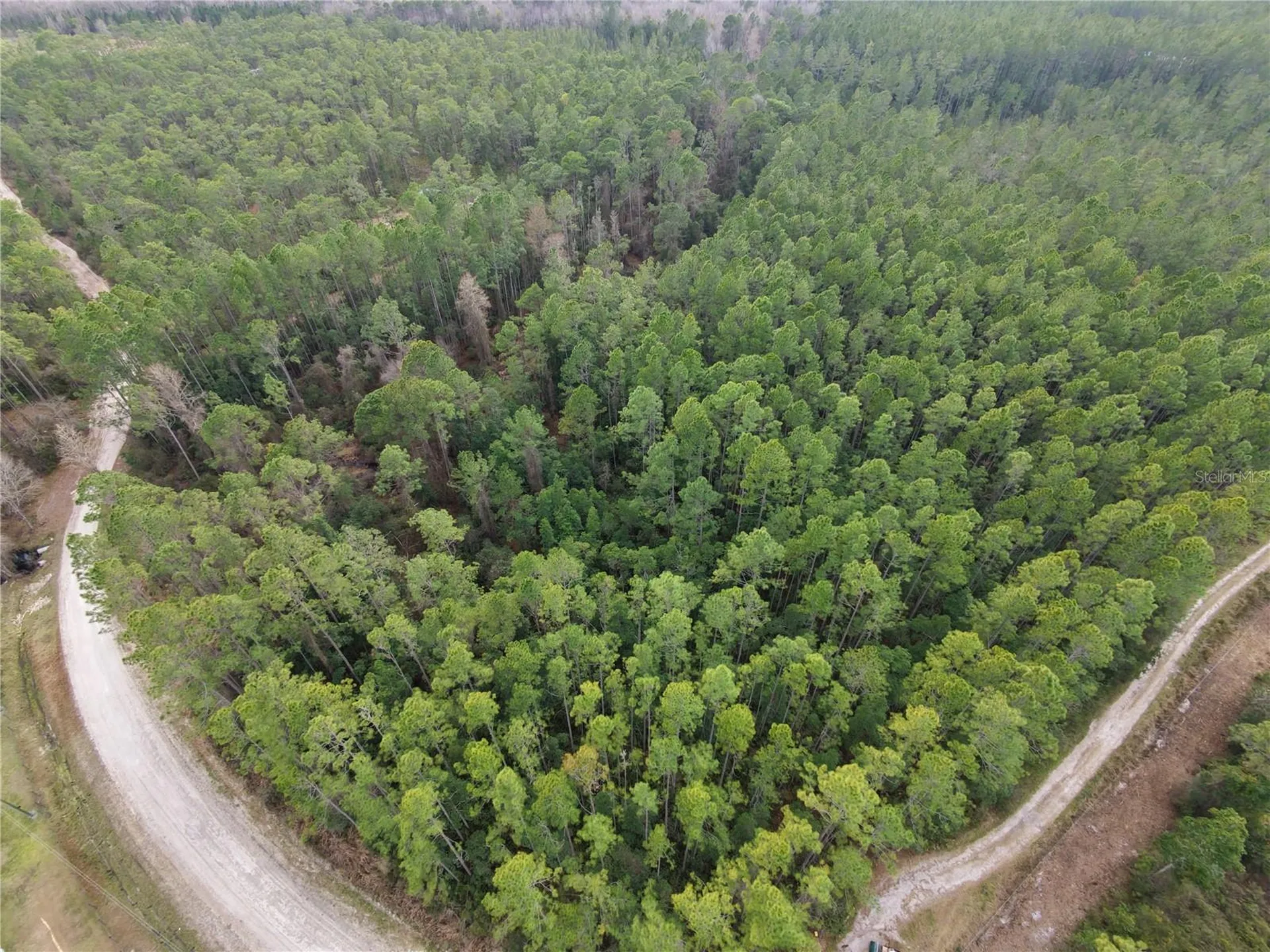 NE NE 130 Ct Road Fort Mc Coy FL 32134