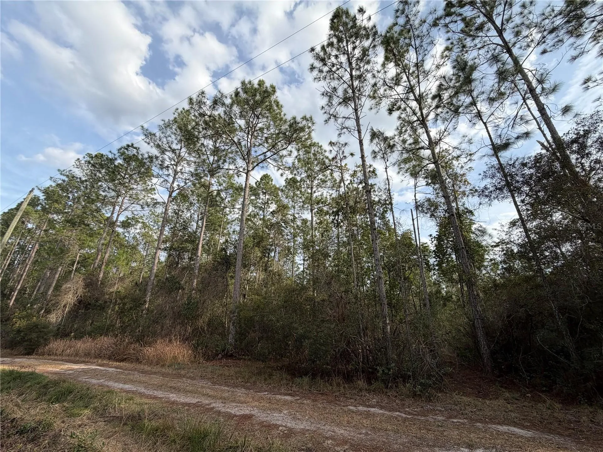 NE NE 130 Ct Road Fort Mc Coy FL 32134