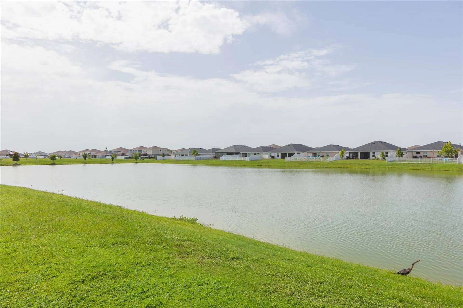 35171 Crescent Creek Drive Zephyrhills FL 33541