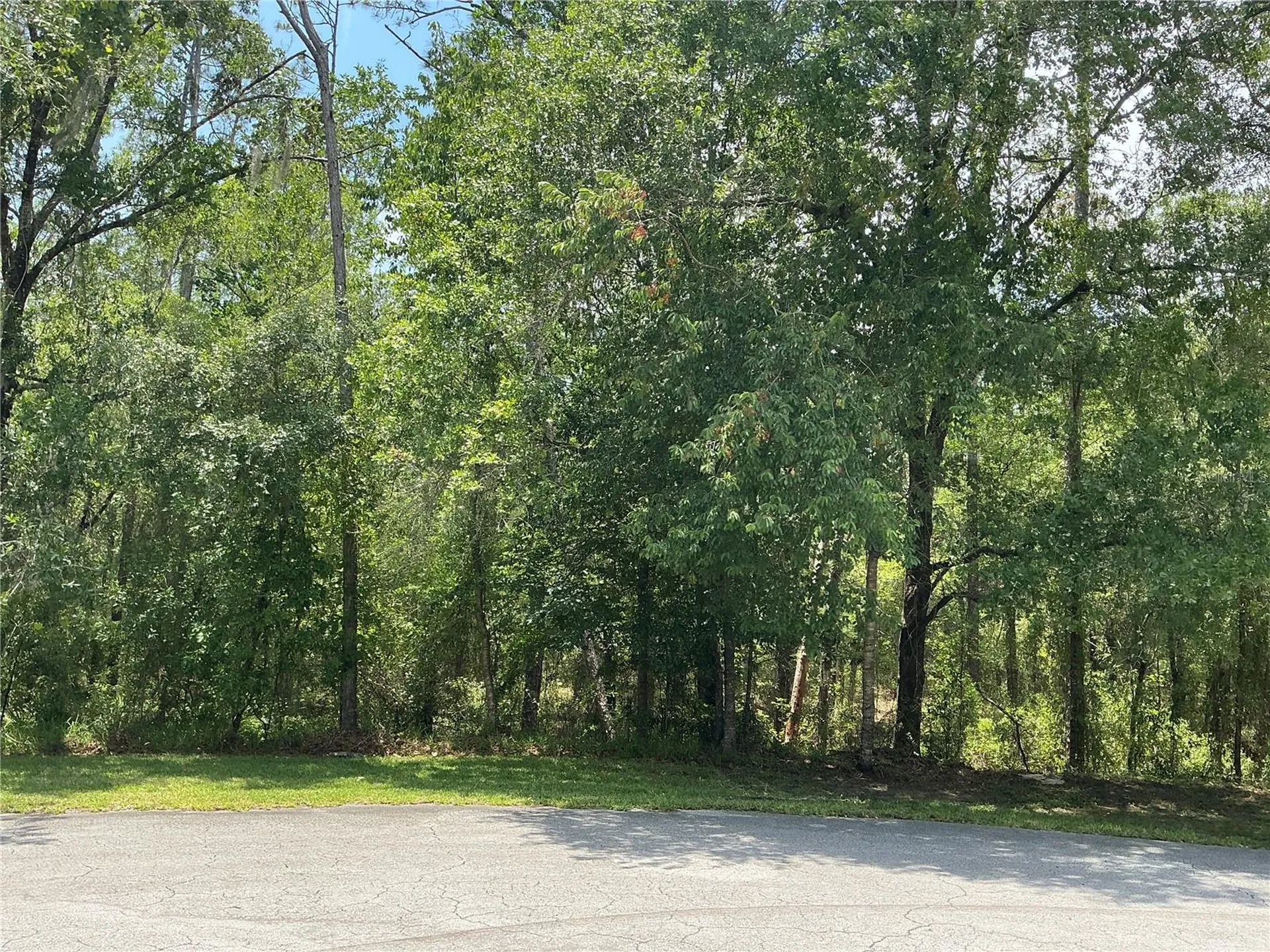 SW 90th Place Dunnellon FL 34431