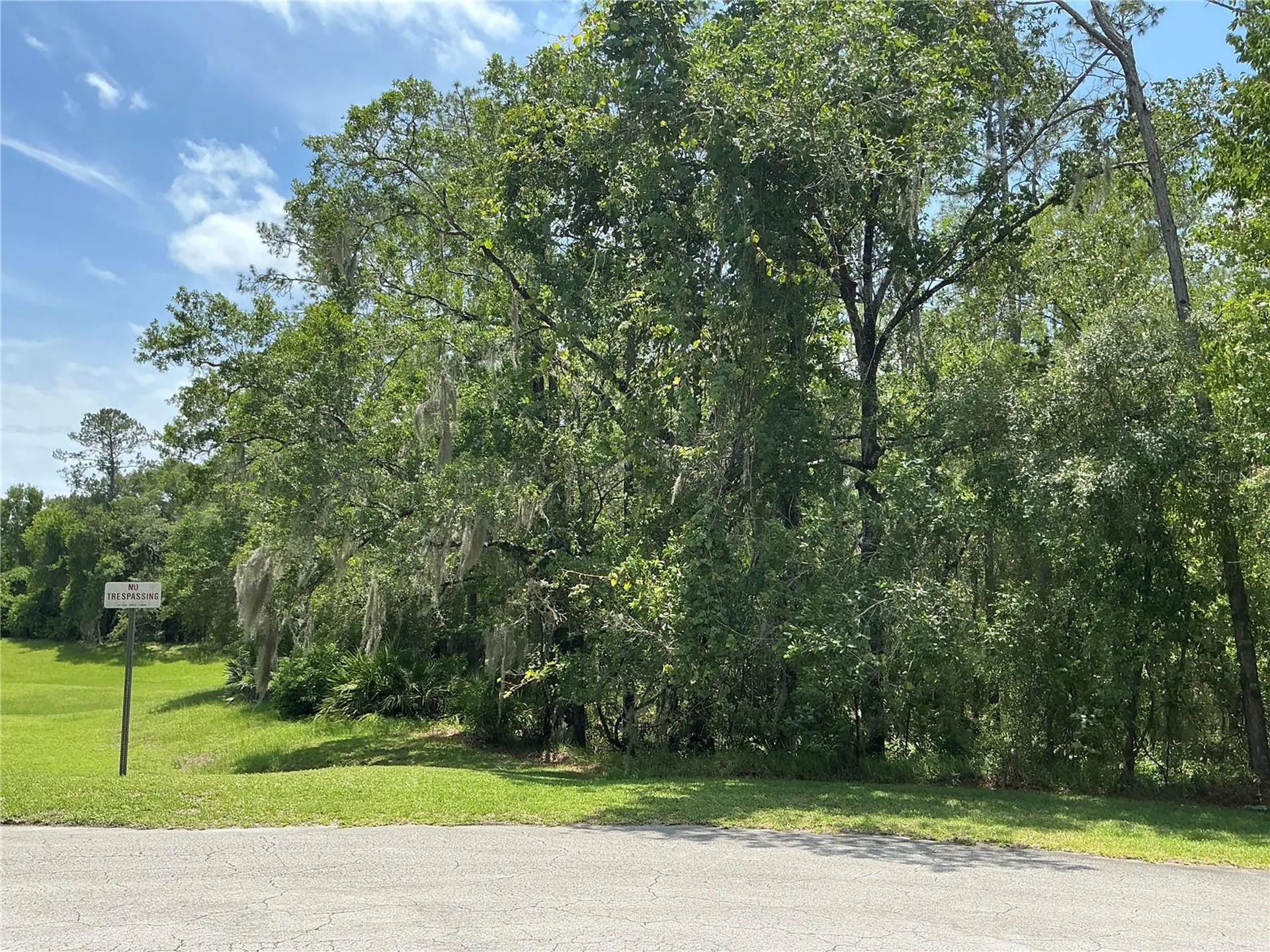 SW 90th Place Dunnellon FL 34431