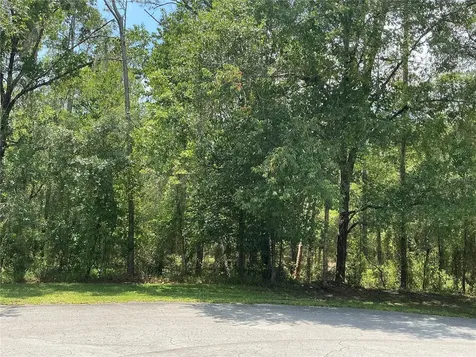 SW 90th Place Dunnellon FL 34431