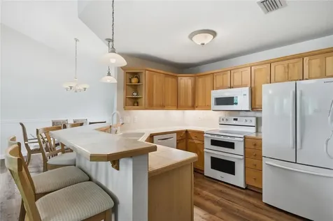6610 S Merleing Loop Floral City FL 34436