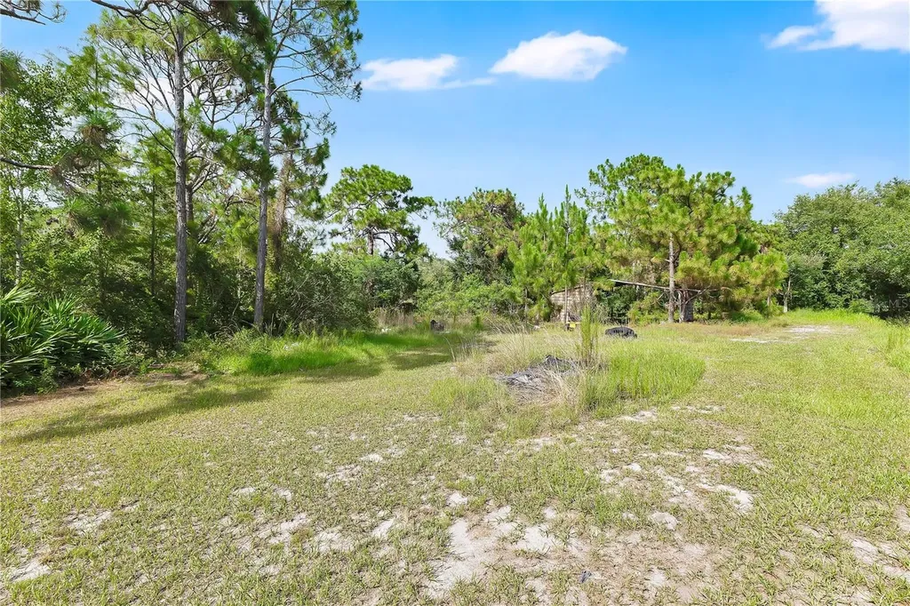 3925 Kaiser Avenue St Cloud FL 34772