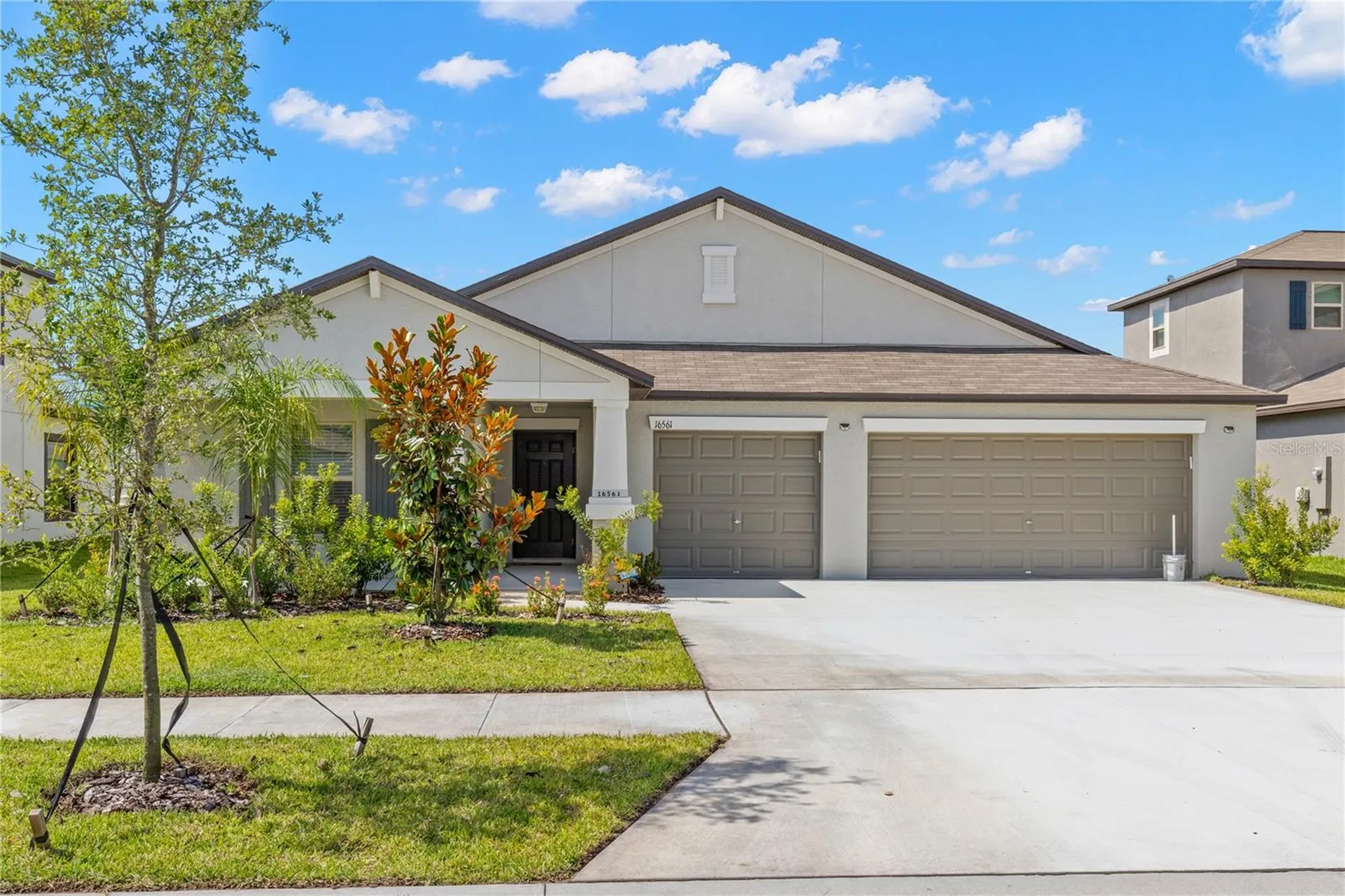 16561 Delia Street Wimauma FL 33598
