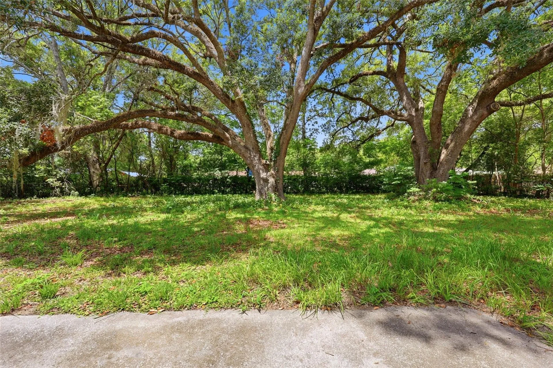 4628 NW 40th Street Gainesville FL 32606