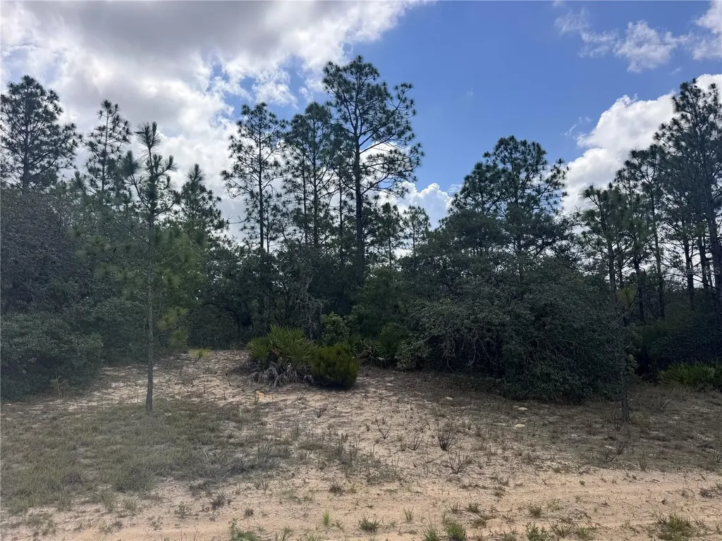 6601 N Airmont Drive Citrus Springs FL 34433