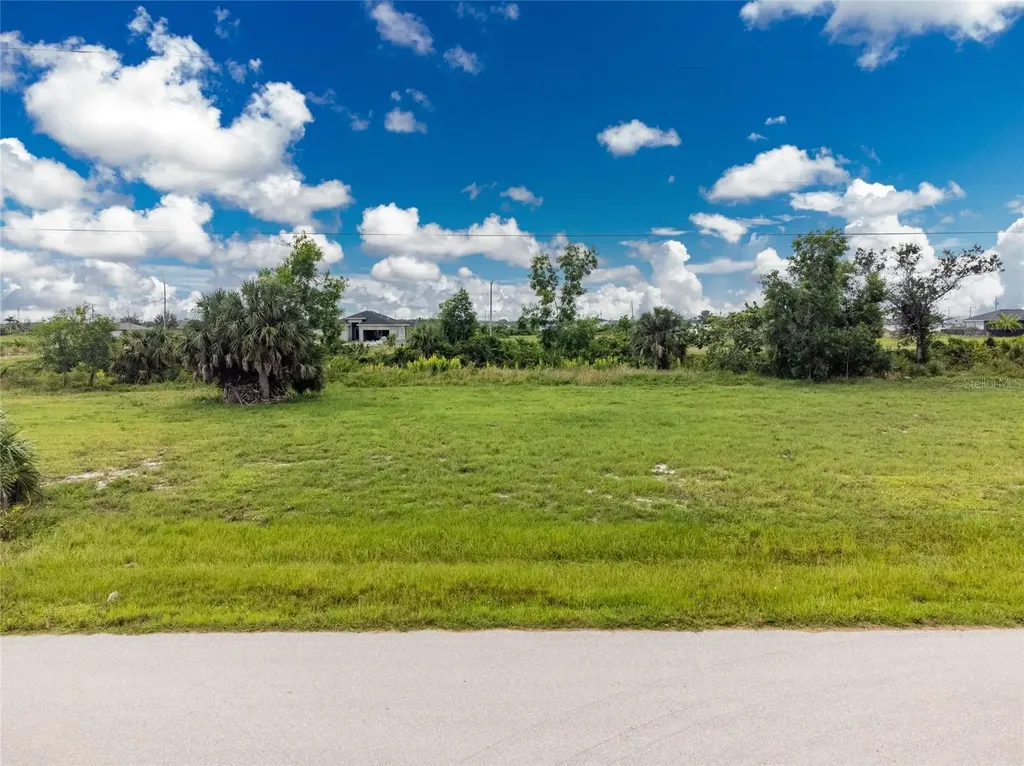 3902 NW 41st Lane Cape Coral FL 33993