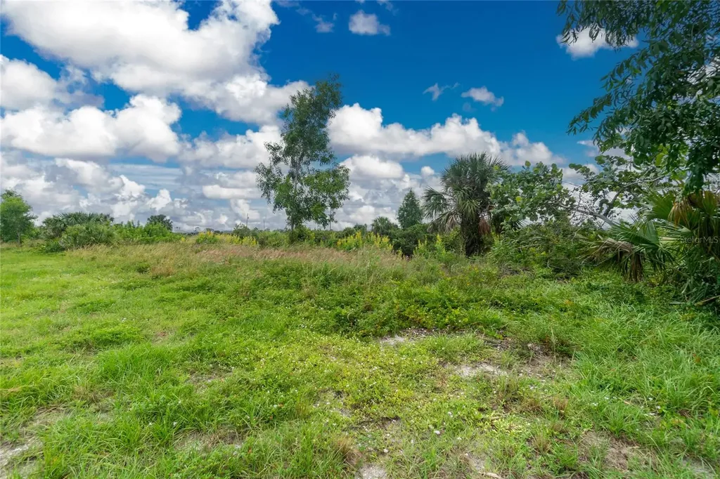3902 NW 41st Lane Cape Coral FL 33993