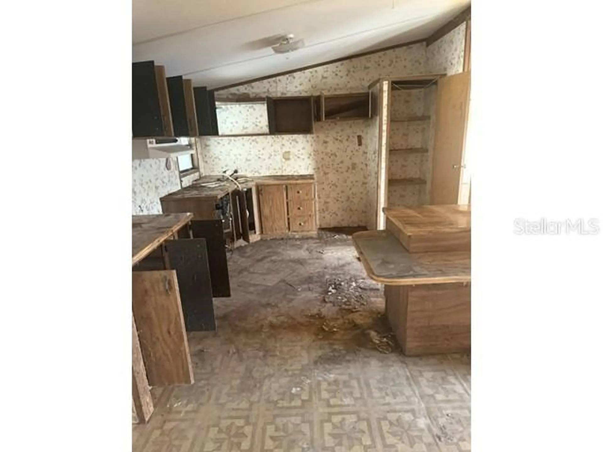 36118 Zinnia Avenue Zephyrhills FL 33541