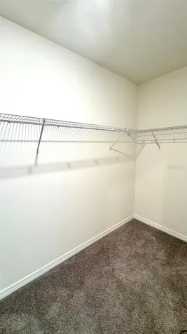 11170 Hollow Bay Drive Winter Garden FL 34787