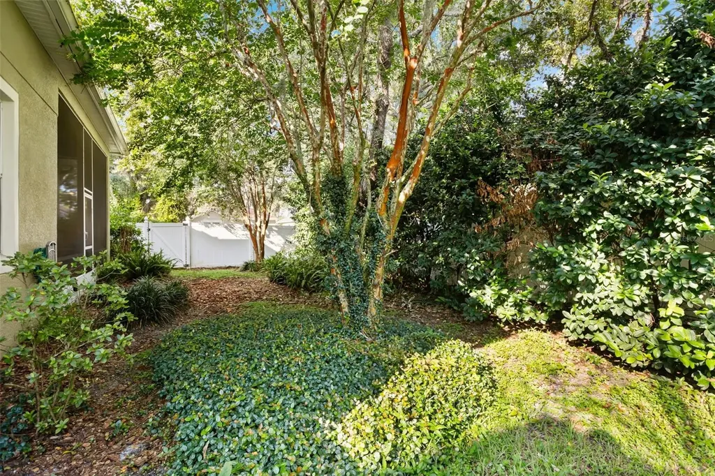 3289 Red Ash Circle Oviedo FL 32766
