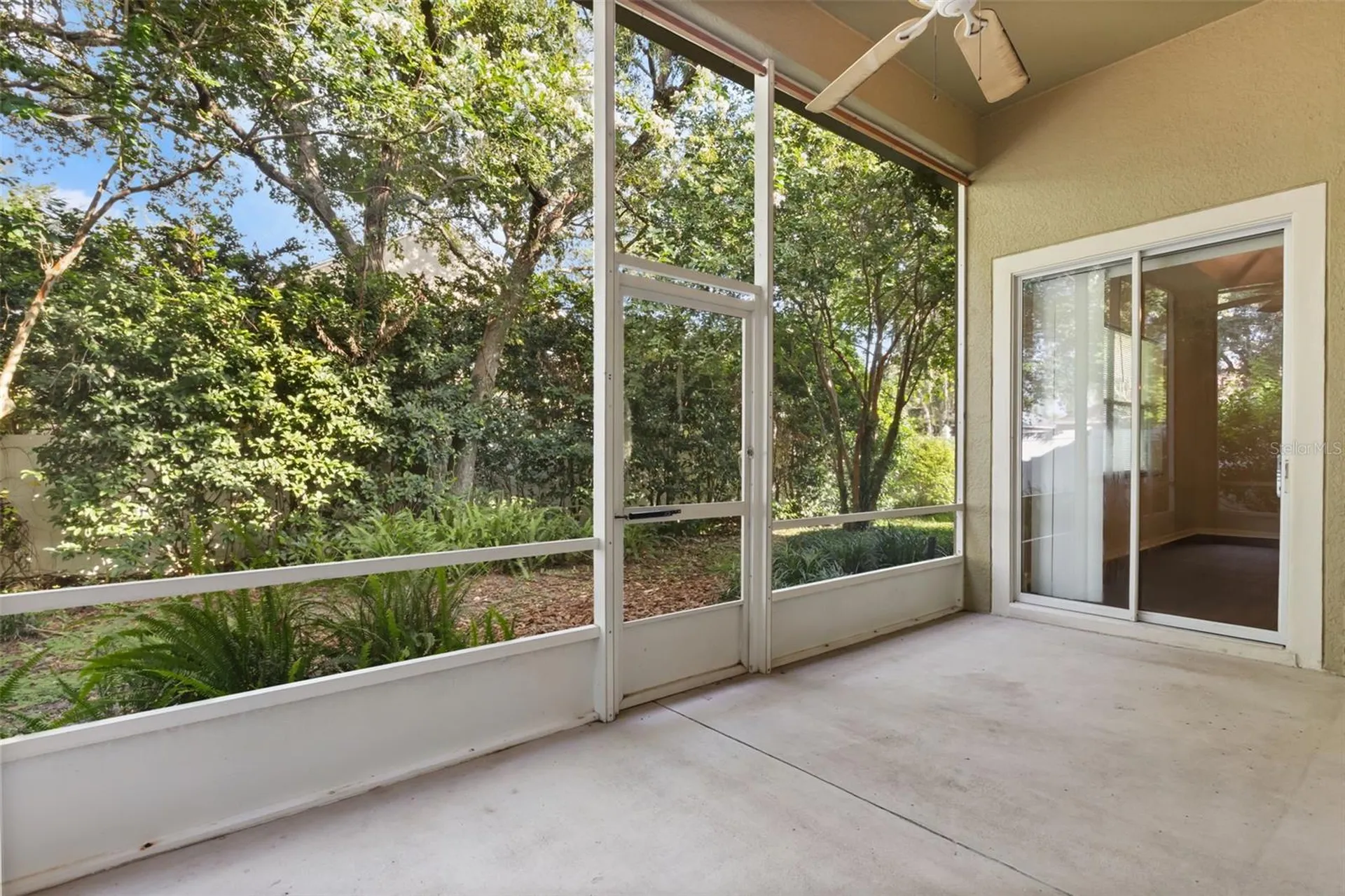 3289 Red Ash Circle Oviedo FL 32766