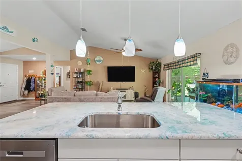 4171 SW Shasta Court Dunnellon FL 34431