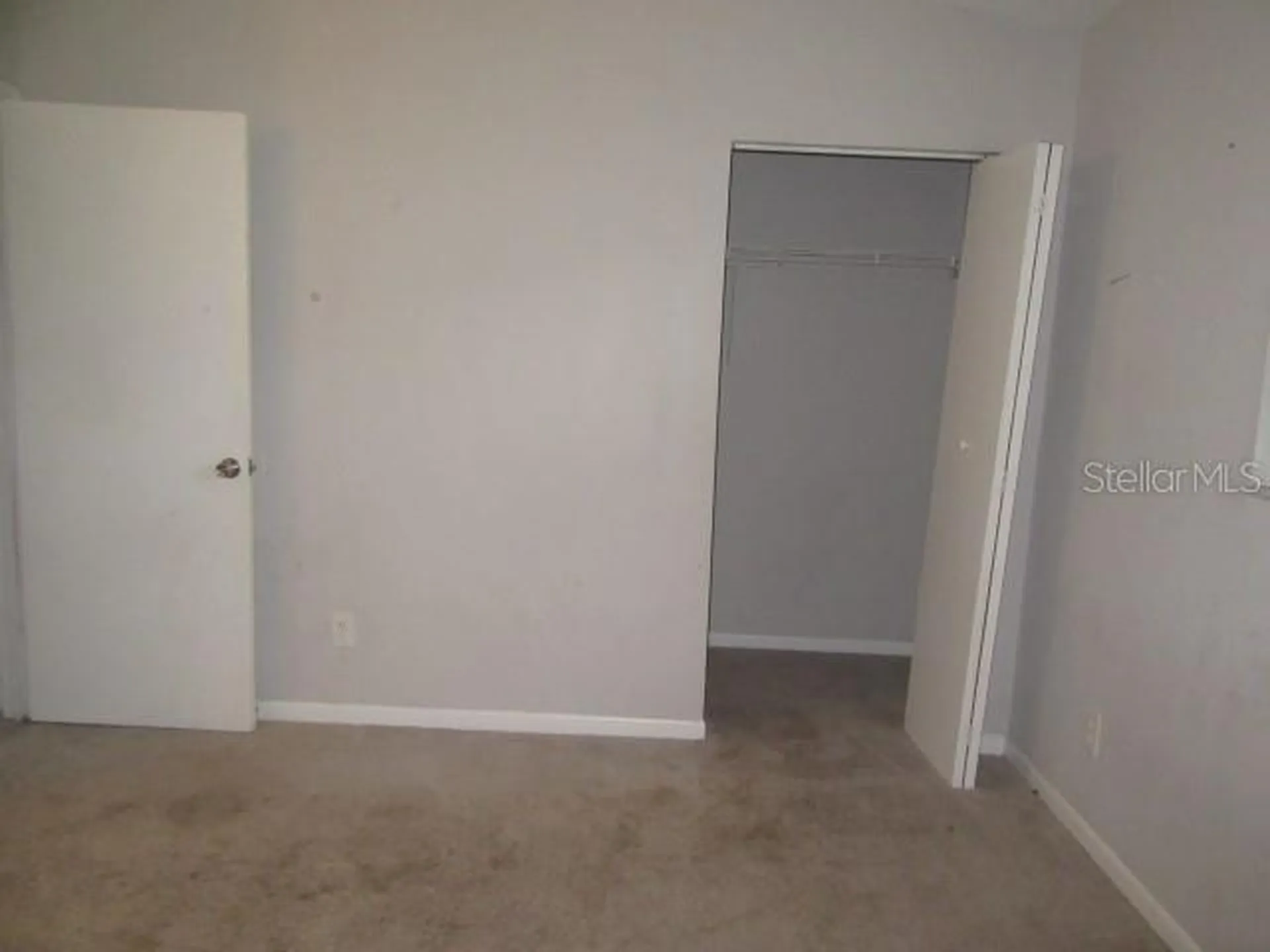 13042 Londondary Place Tampa FL 33612