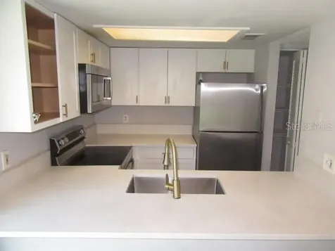 13042 Londondary Place Tampa FL 33612