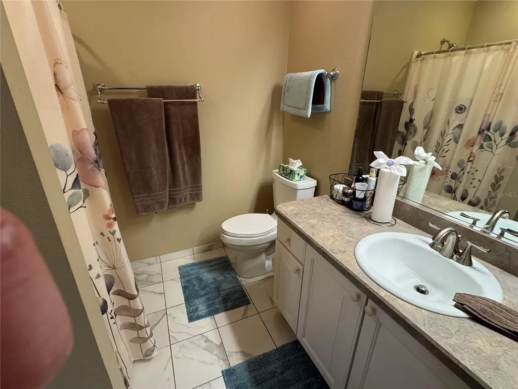 1631 Edisto Lane The Villages FL 32162