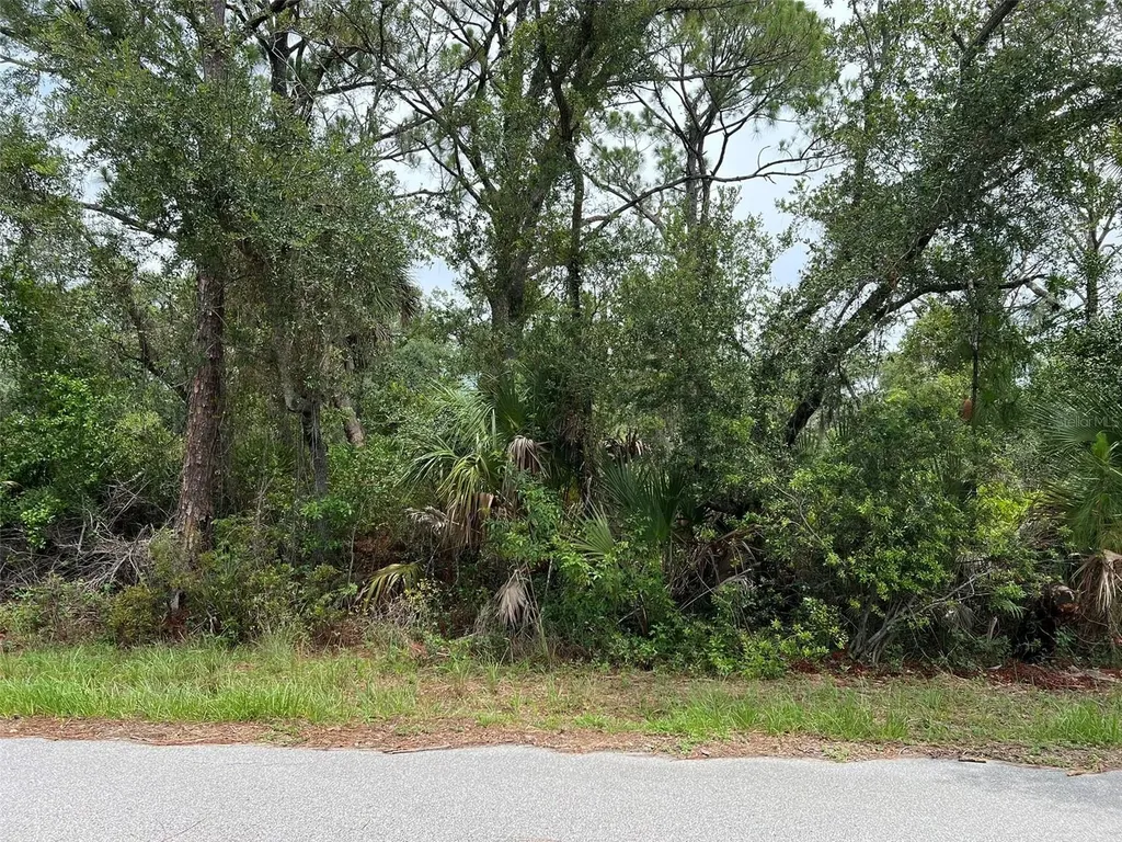 13414 Carrie Avenue Port Charlotte FL 33953