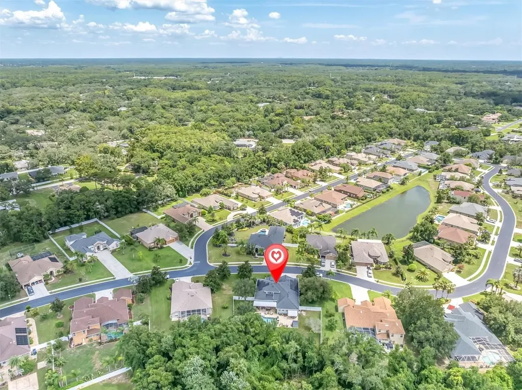 1805 Mountain Ash Way New Port Richey FL 34655