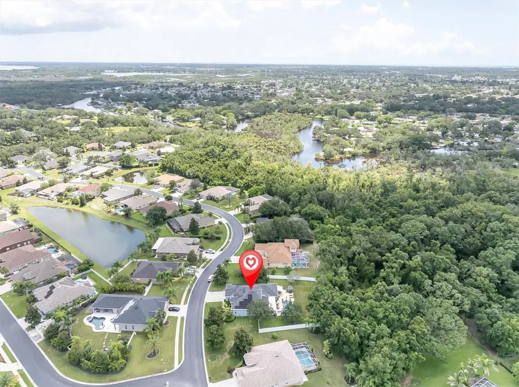 1805 Mountain Ash Way New Port Richey FL 34655